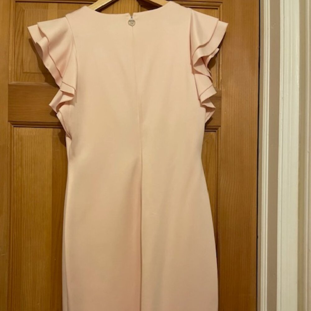 NWT Tommy Hilfiger Ballet Pink Flutter Sleeve Dress - Size 10 - Picture 5 of 6
